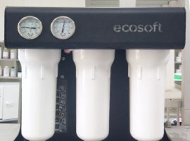 ecosoft_1