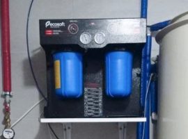 ecosoft_4