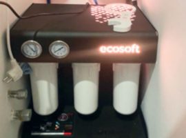 ecosoft_5