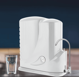 reverse-osmosis-ecofilter-georgy's-special